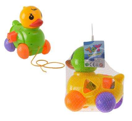 1 SHAPE SORTER PULL ALONG TOY
