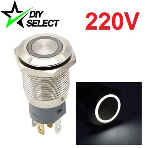 Switch Push Button Momentary Illuminated White Led 220V AC **LOCAL STOCK**