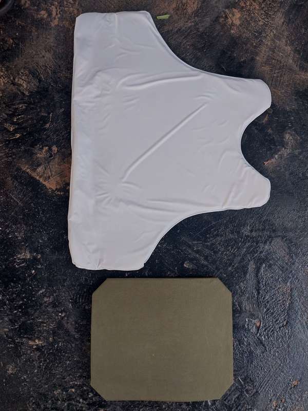 Body armour w/ woodland camo carrier
