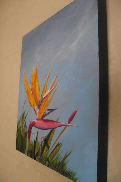 Strelitzia Hanging