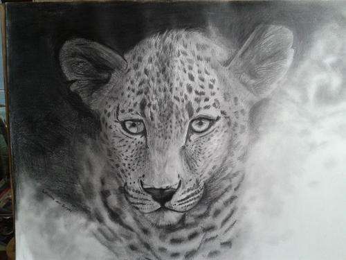 Drawing of a Leopard - Graphite Pencil on Watercolour Paper