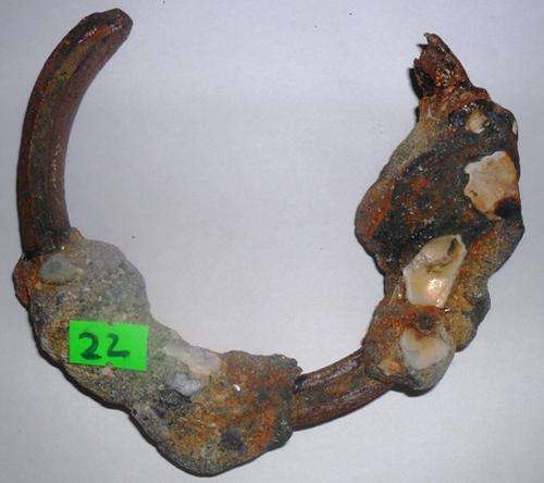 Ancient horse shoe