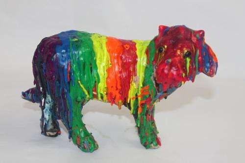 Crawford Cows - Rainbow Moo