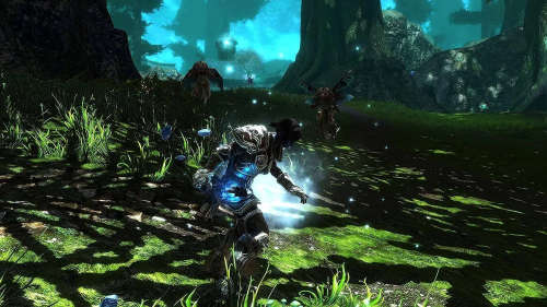 Kingdoms of Amalur Re-Reckoning - PlayStation 4