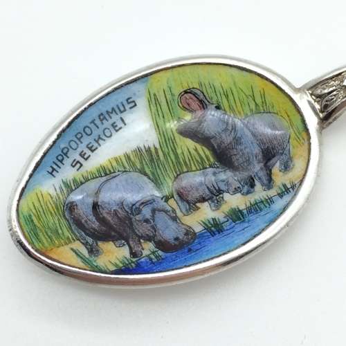 Early South African Enameled Souvenir Spoon