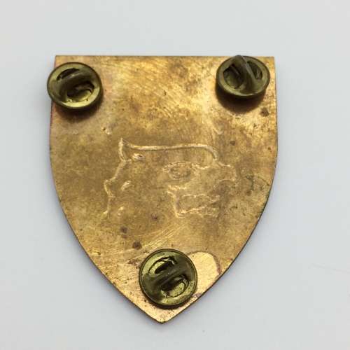 SADF - 2 Parachute Battalion Shoulder Flash (3 x Pins)