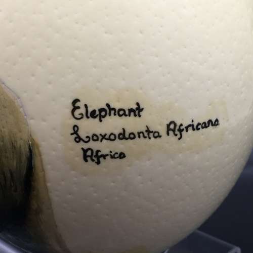 Hand-Painted `Elephant` Ostrich Egg (Signed)