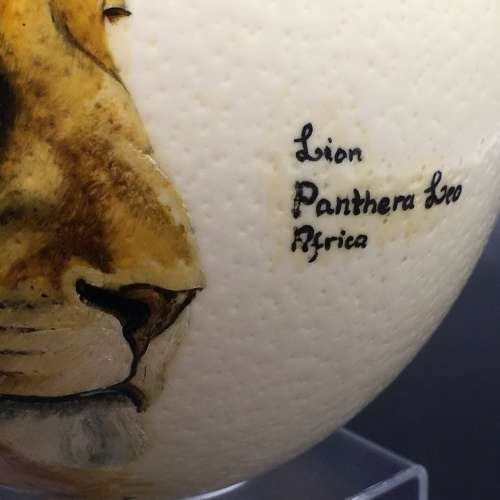 Fabulous Hand-Painted `Lion` Ostrich Egg (Signed)