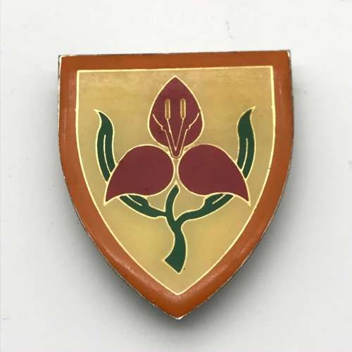 SADF - `S. A. Military Academy` Shoulder Flash (3 Pins)
