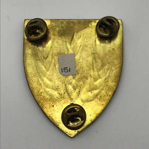 SADF - `Swartland Commando` Shoulder Flash (3 Pins)