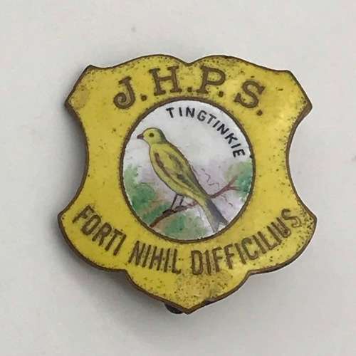 Vintage `Jeppe High Preparatory School` Enamel Badge (Tingtinkie)