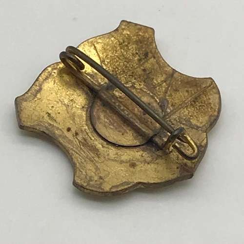 Vintage `Jeppe High Preparatory School` Enamel Badge (Tingtinkie)
