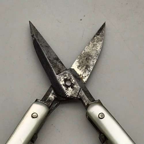 Small Antique `Mother of Pearl` Folding Scissors