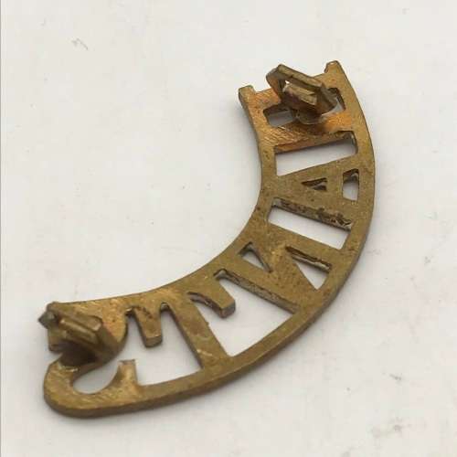 British - Early `HANTS` Hampshire Regiment Shoulder Title