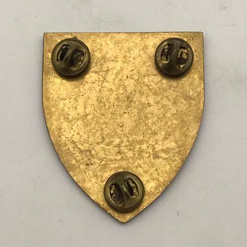 SADF - `Army Gymnasium` Shoulder Flash (3 Pins)