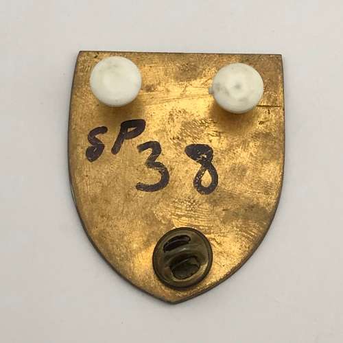 SADF - `S.W.A. Military School` Pocket Flash (3 Pins)