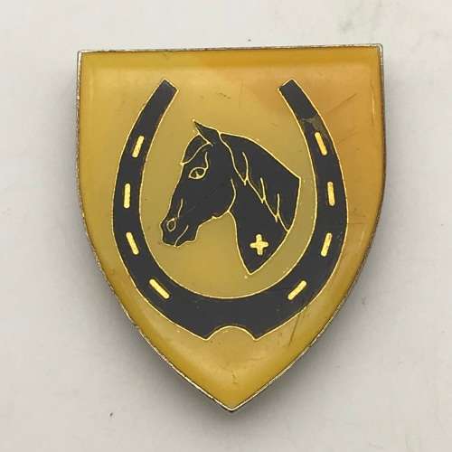 SADF - `Equestrian Centre` Shoulder Flash (3 Pins)