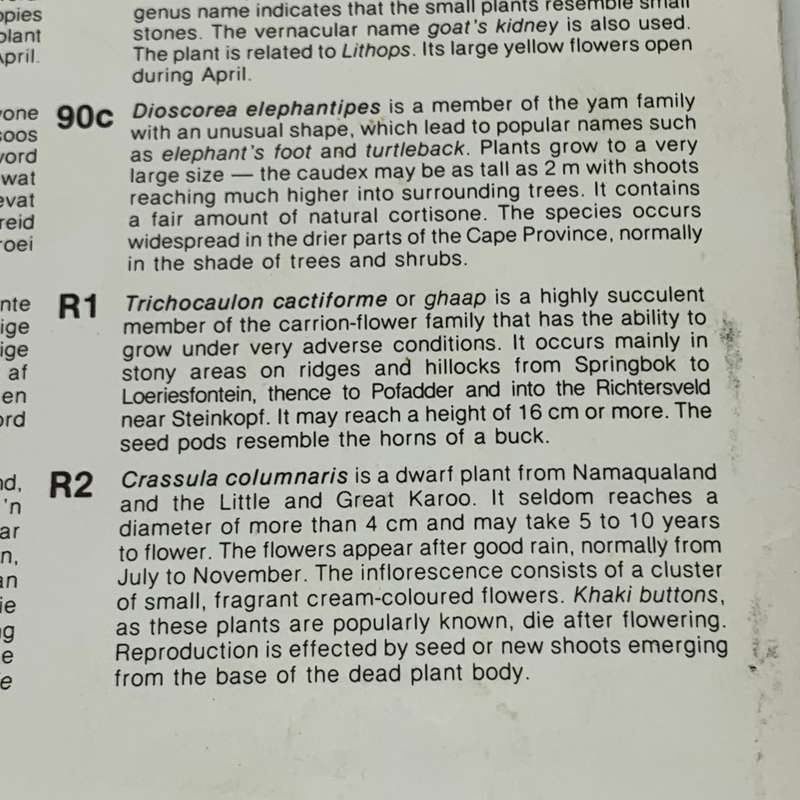 SA  Fifth Definitive Series `Succulents` (1-9-1988)