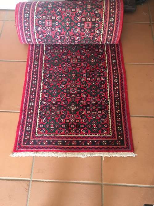 Percian runner