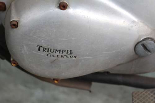 Vintage 1968 Triumph Tiger Cub modified for trials. (Motors runs but needs new fuel line and seat)