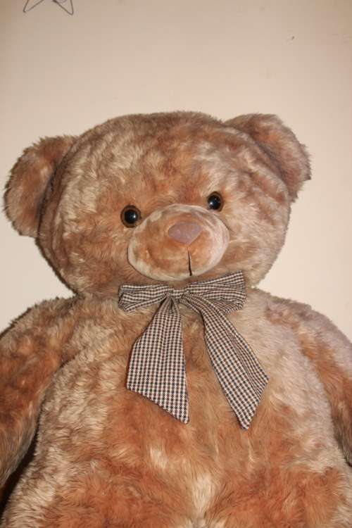 1.1metre Tall Giant Teddy Bear In excellent condition