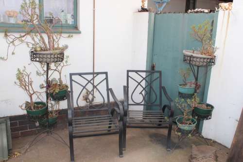 Patio Lot including pair of decorative metal chairs and metal plants stands including all plants