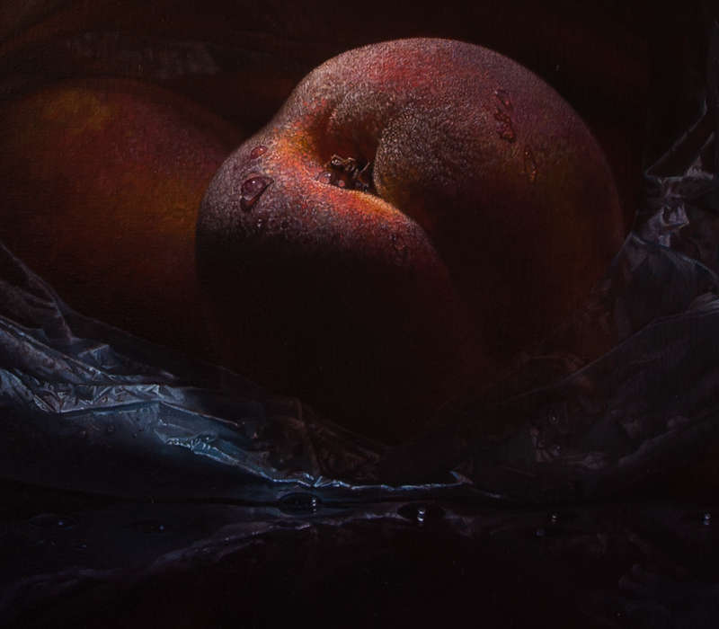 Peaches in plastic (warm palette) -  by Gerbrand van Heerden