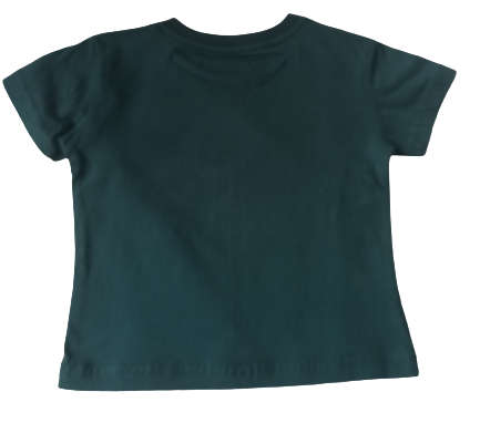 Springboks Infants RWC Champions Tee: 3 - 6 months