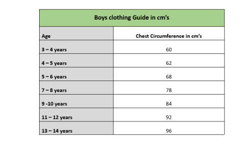 Springboks Boys RWC Champions Tee: 4 - 5 years