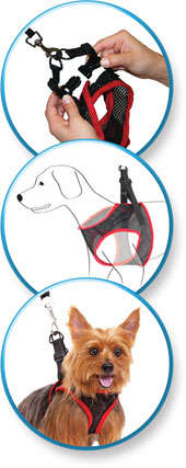 Doggie Harness.