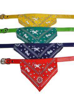 Hip Hop doggie colar for small dogs. Set of four assorted colors only R45.00 !