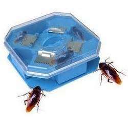 Cockroach Trap.