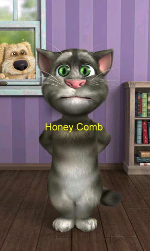 Talking Tom Cat Music play mat.