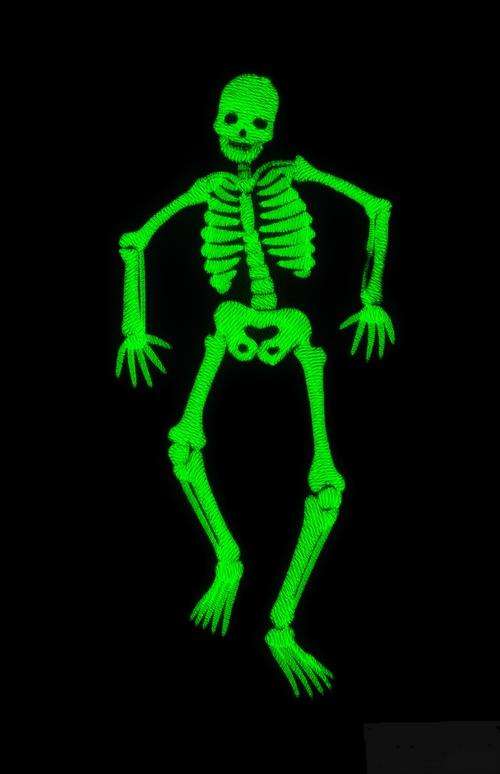 Glow-in-the-Dark Human Skeleton  47 piece. Build it ! 4 on Auction !