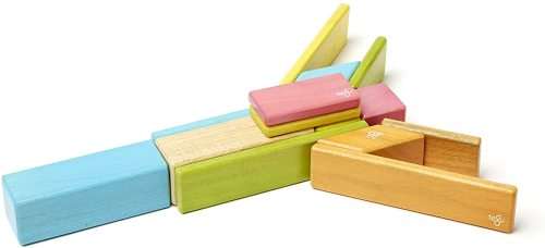 14 Piece Tegu Magnetic Wooden Block Sett - Tints