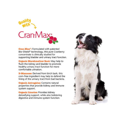 Zesty Paws Cranberry for Dogs - UT Incontinence Support - 90 Bites