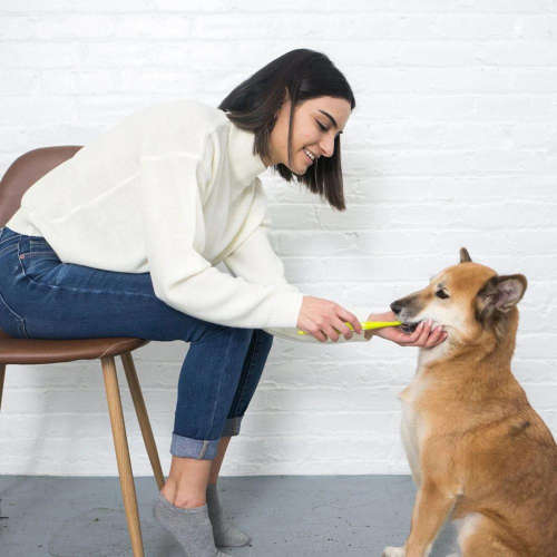 Petosan® Silentpower Toothbrush - Revolutionise Your Pet`s Oral Health