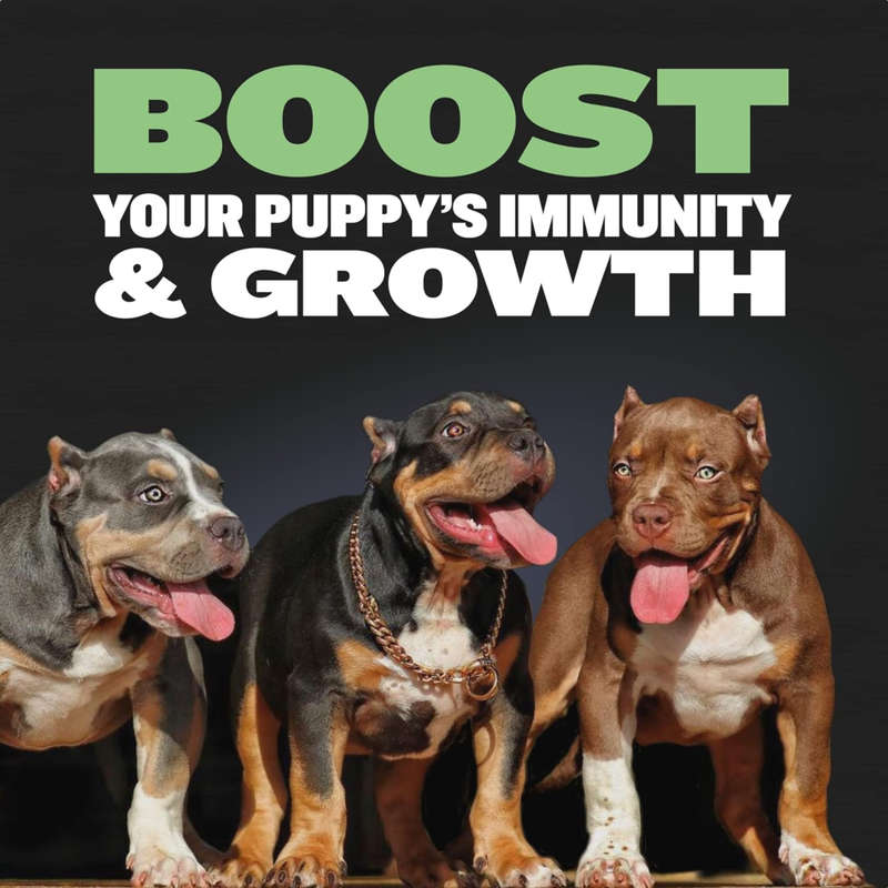 Bully max 24/14 high protein and growth puppy food