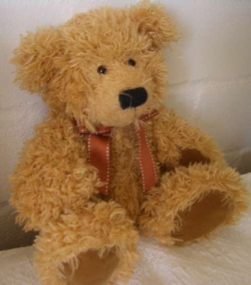 Russ Berrie Bear - Brawson