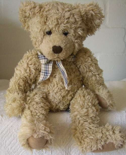 Russ Berrie Bear - Tennyson
