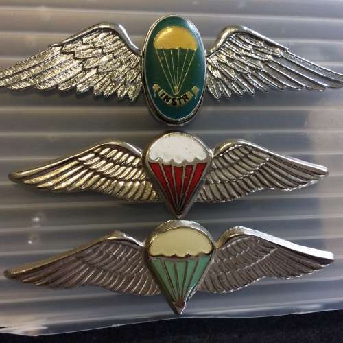 Recce/ Parabat Metal Wings
