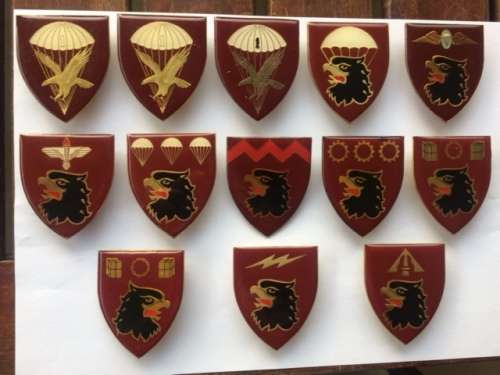 Parabat 44 Parachute Brigade Flashes