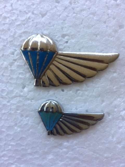 Air Supply Chrome and Enamel Metal Wings (Full-size and Mess dress)