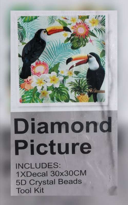 5D DIY Diamond Painting (Dotting)