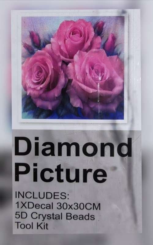 5D DIY Diamond Painting (Dotting)