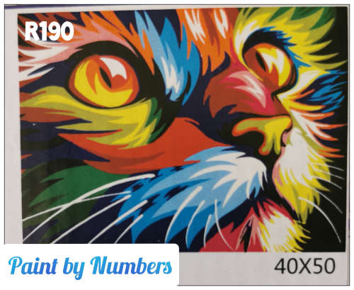 DIY Adult Paint by Numbers