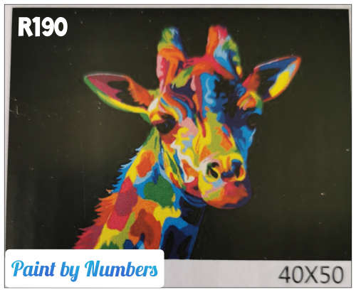 DIY Adult Paint by Numbers