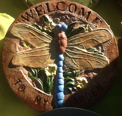 R80 Outdoor Wall/garden Decor Plaque - Dragonfly Welcome