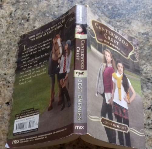 Canterwood Crest Bset Enemies No 5 book by Jessica Burkhart (paperback)