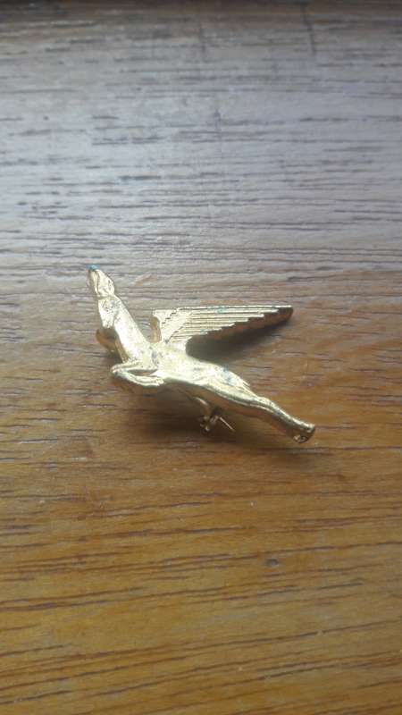 SAA Springbok Insignia Broach Clip Lapel Badge 3cm x 2cm